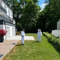 2022-06-10_kemnath_insekten-gefahr_ff-kem_1.jpg