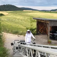 2022-06-24_insekten_dlk_ff-kem_2.jpg
