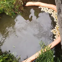 2022-07-07_wildenau_ol-gewasser_ff-kem_1.jpg