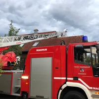 2022-06-24_insekten_dlk_ff-kem_1.jpg