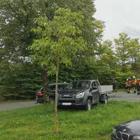 2023-10-05_B-Güterzug_Haidenaab-Göppmannsbühl_FF-KEM_3a.jpg