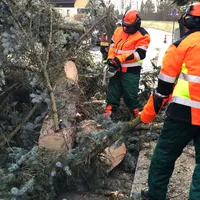2022-02-19_kem_anzensteinstrasse_baum-droht-zu-fallen_ff-kem_3.jpg