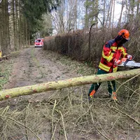 2022-02-19_b22_kem-schonreuth_baum-fahrbahn_ff-kem_1.jpg